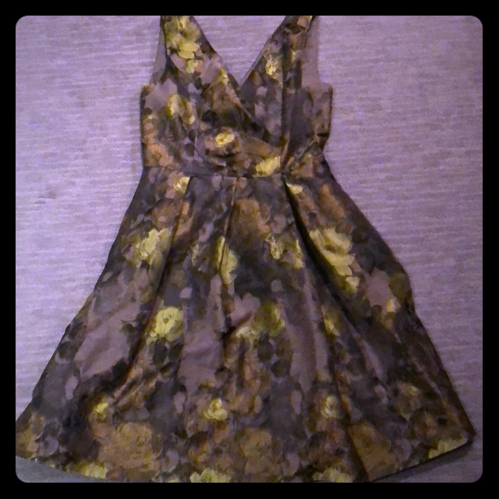 Adrianna Papell A Line Floral Dress